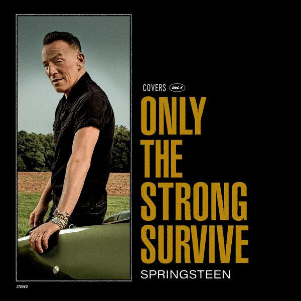 BRUCE SPRINGSTEEN - ONLY THE STONG SURVIVE (CD)