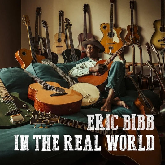 ERIC BIBB - IN THE REAL WORLD (CD)