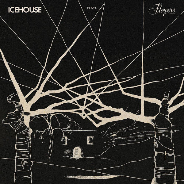 Icehouse - Icehouse Plays Flowers (LP)